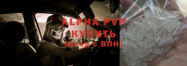 СК Волоколамск
