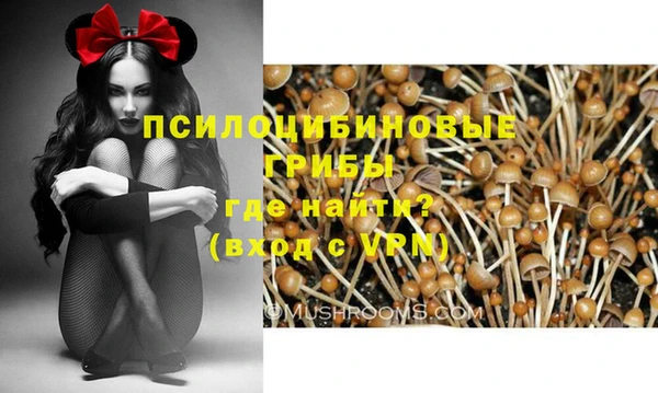 2c-b Волосово