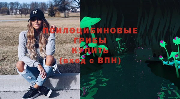 СК Волоколамск