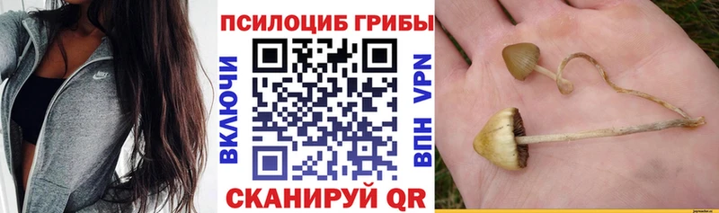 Псилоцибиновые грибы MAGIC MUSHROOMS магазин ссылка на мегу ССЫЛКА Вихоревка